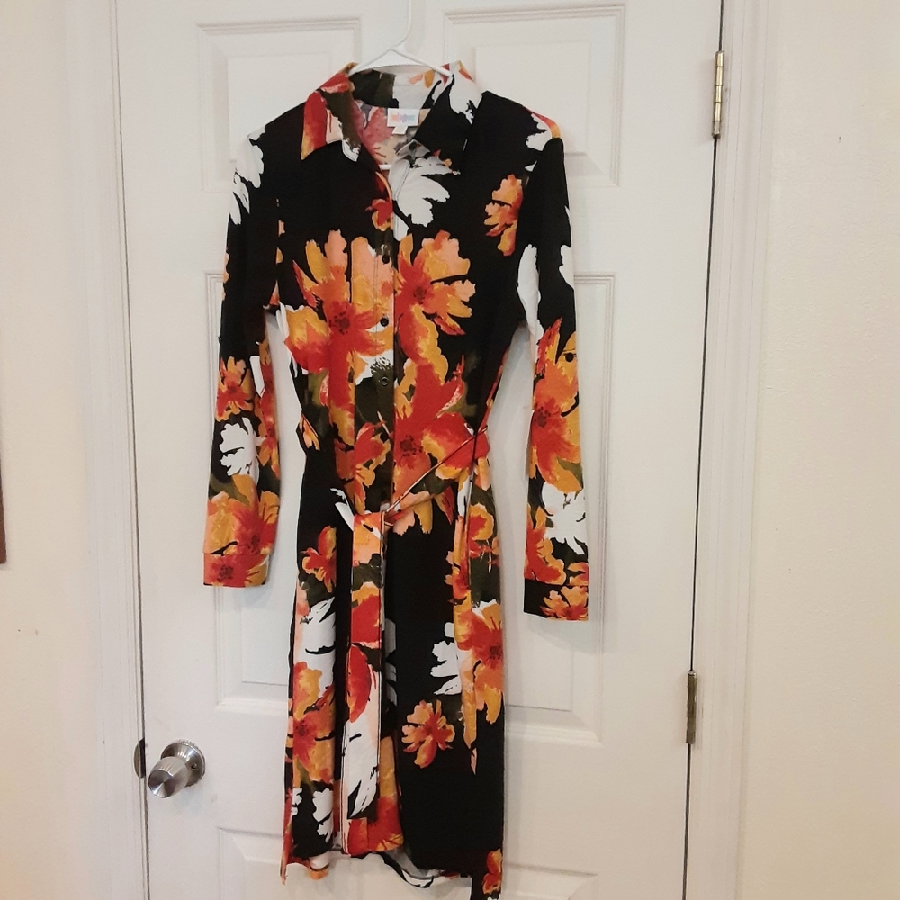 Ellie dress Lularoe button down work dress